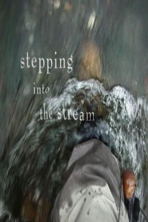 stepping-intro-the-stream