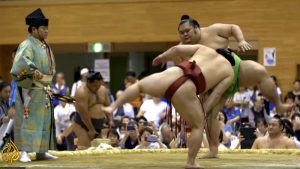 sumo-world