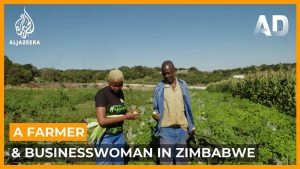 fresh-farm-zimbabwe